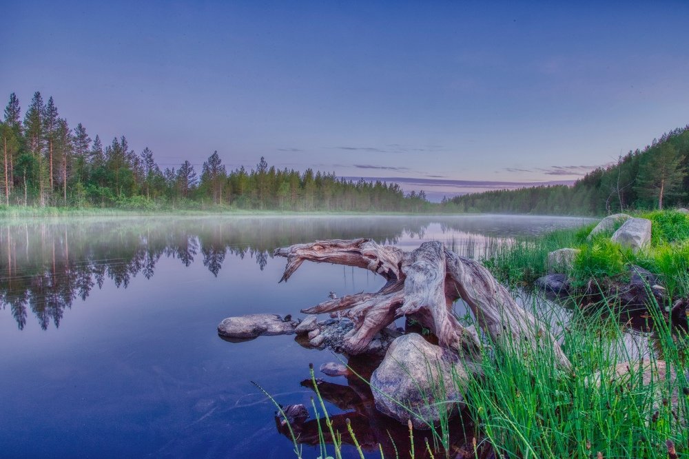 Photograph by Николай Сизиков