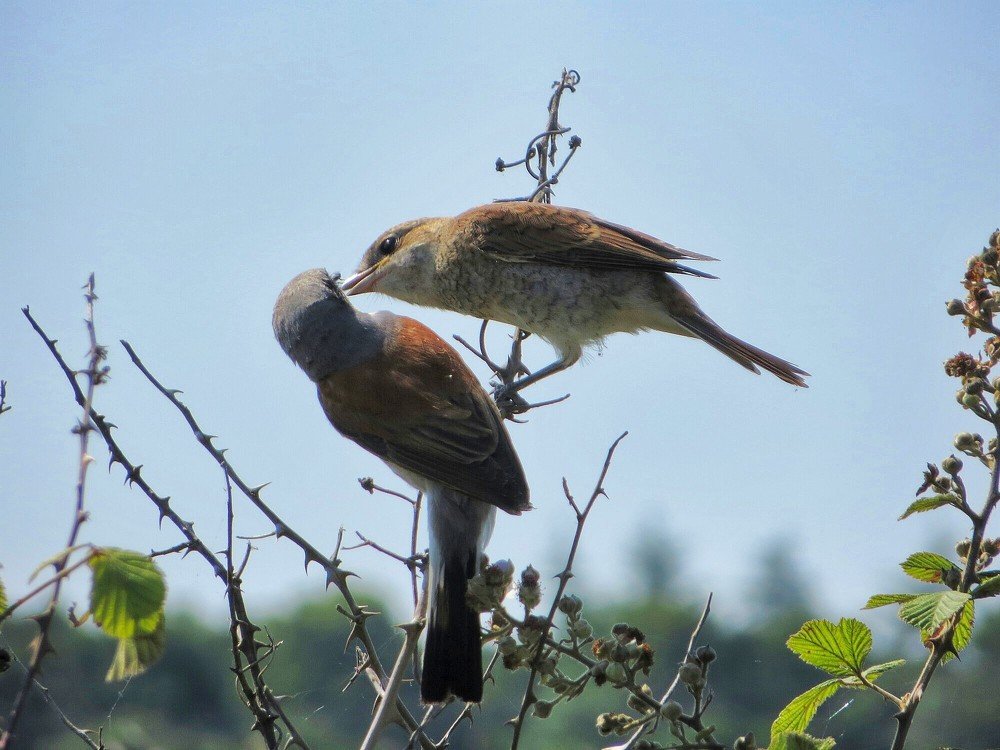 Photograph by Екатерина Салий