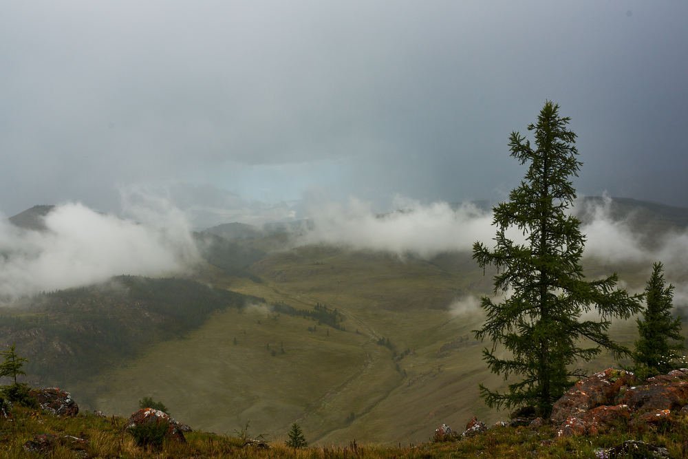 Photograph by Михаил Рогачев