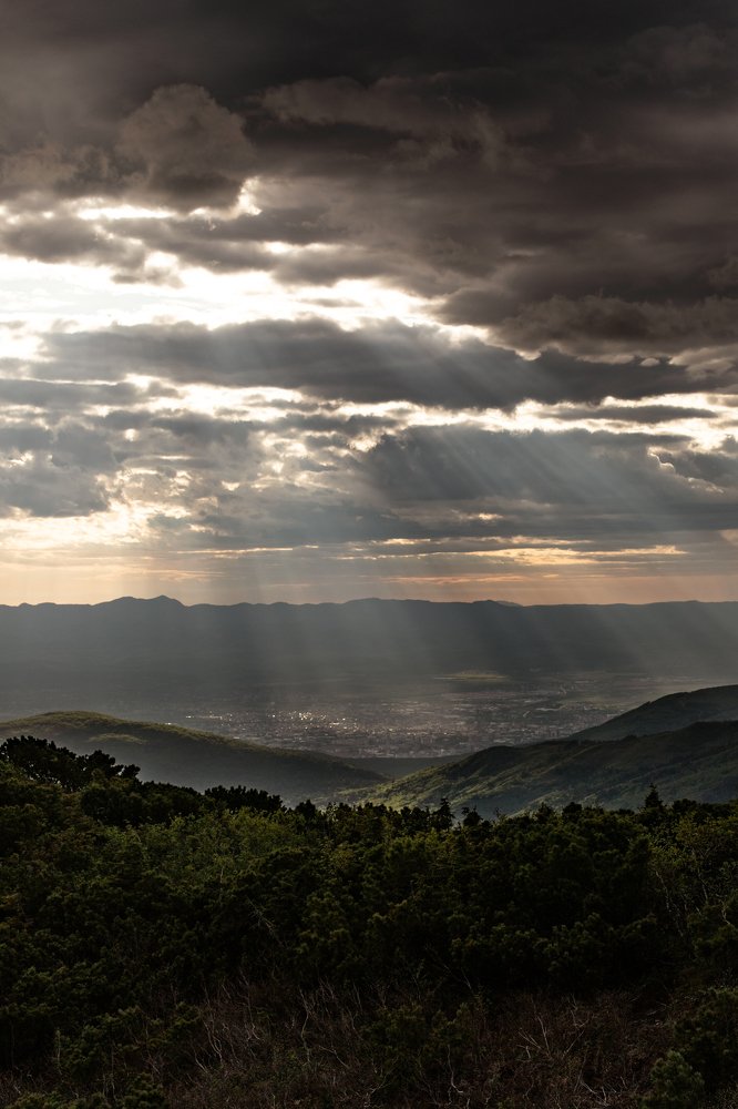 Фотография автора Дмитрий Эбингер