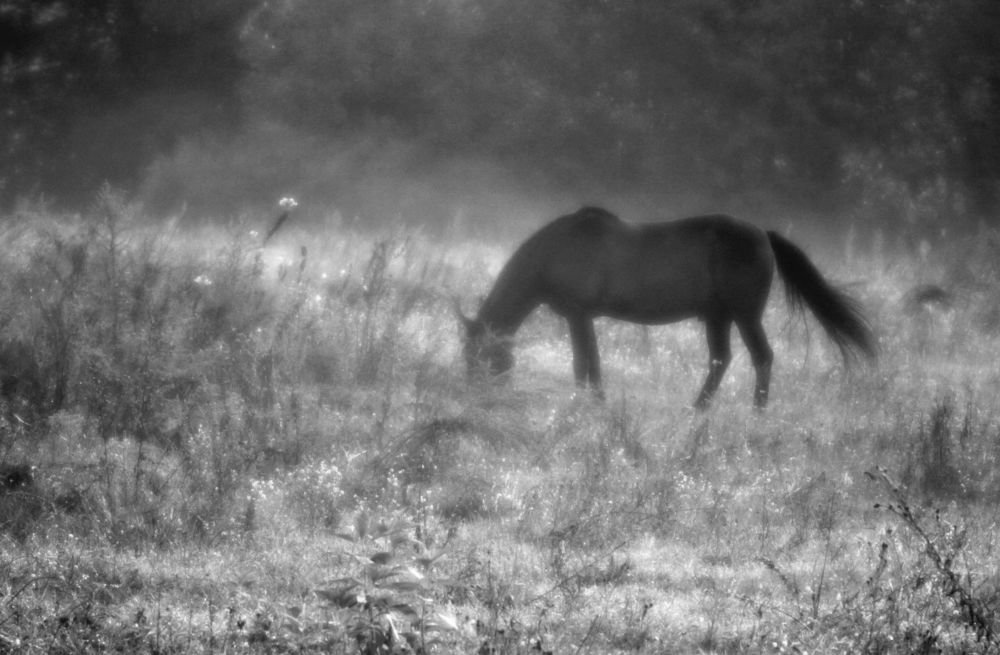 Photograph by Виктор Борисов