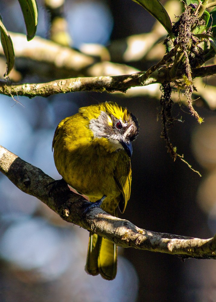 Photograph by Сергей Устинович
