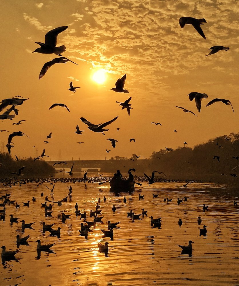 A Misty Morning at the Yamuna Ghat Delhi