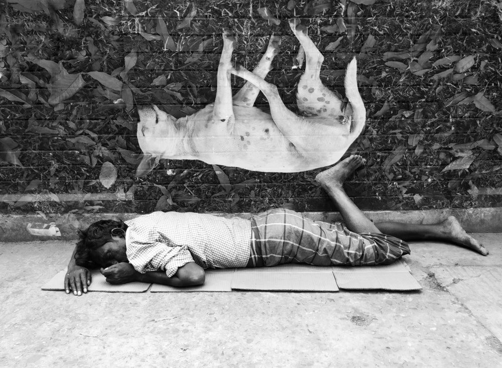 Photograph by Mostofa Romio Md.Shahrear