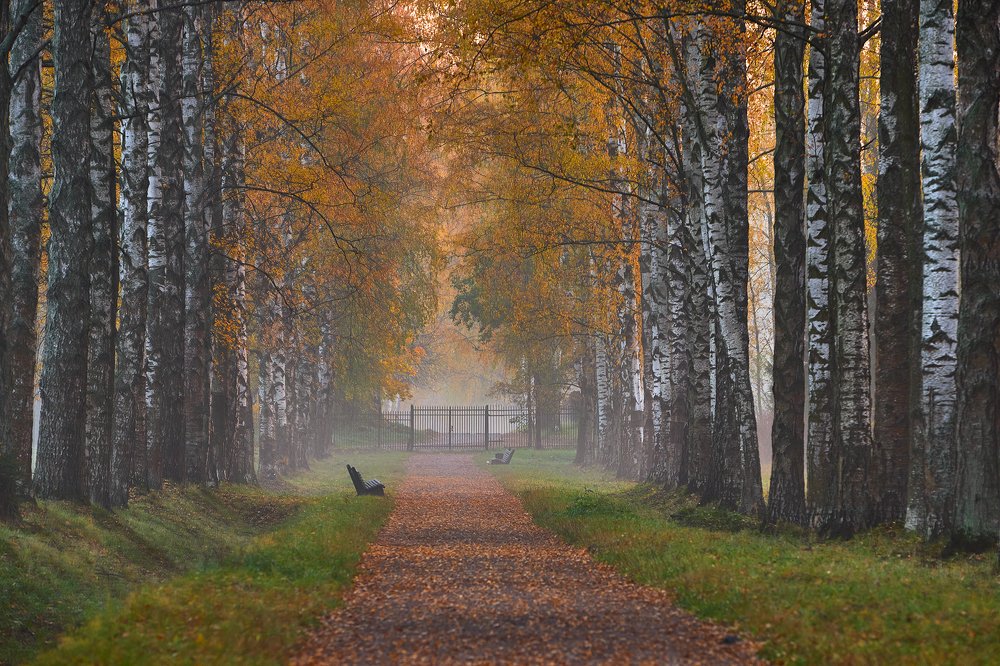 Фотография автора Елена Маковоз