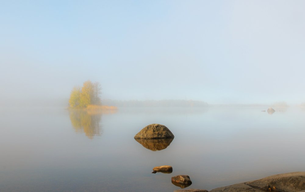 Утренний туман