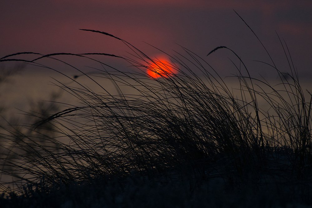 Photograph by Юрий Миронов