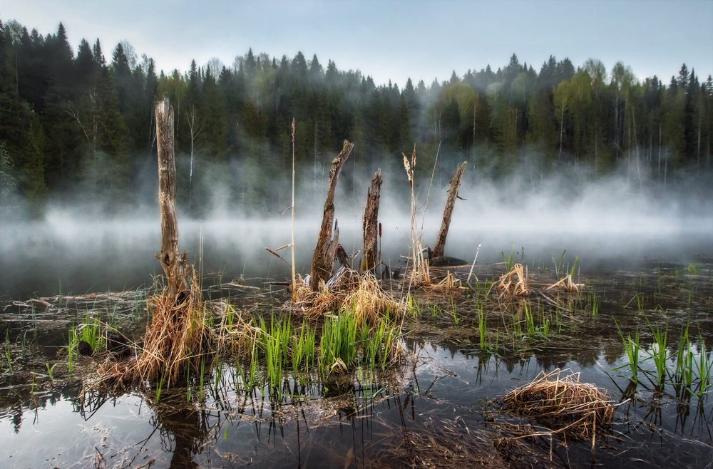 Фотография автора Vyacheslav Lozhkin