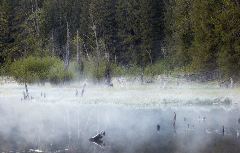 Фотография автора Vyacheslav Lozhkin