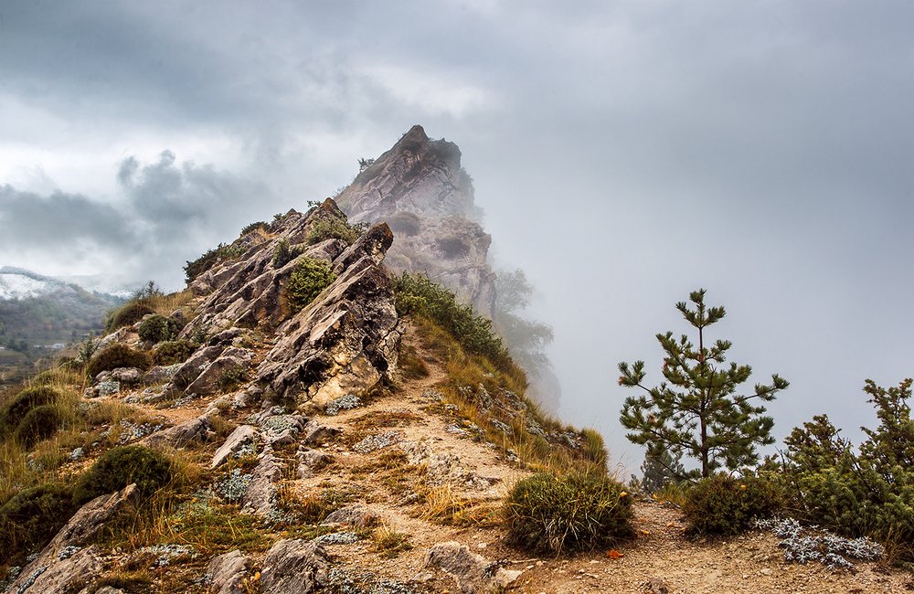 Фотография автора Vyacheslav Lozhkin