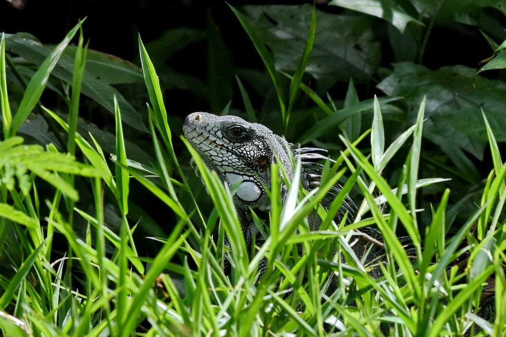 Photograph by Борис Ганцелевич