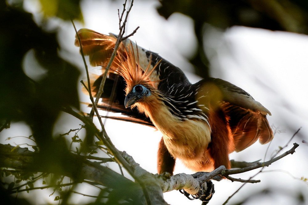 Photograph by Борис Ганцелевич