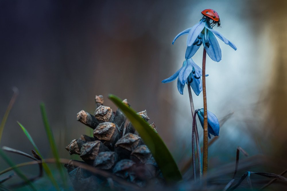 Фотография автора Роман Зайцев