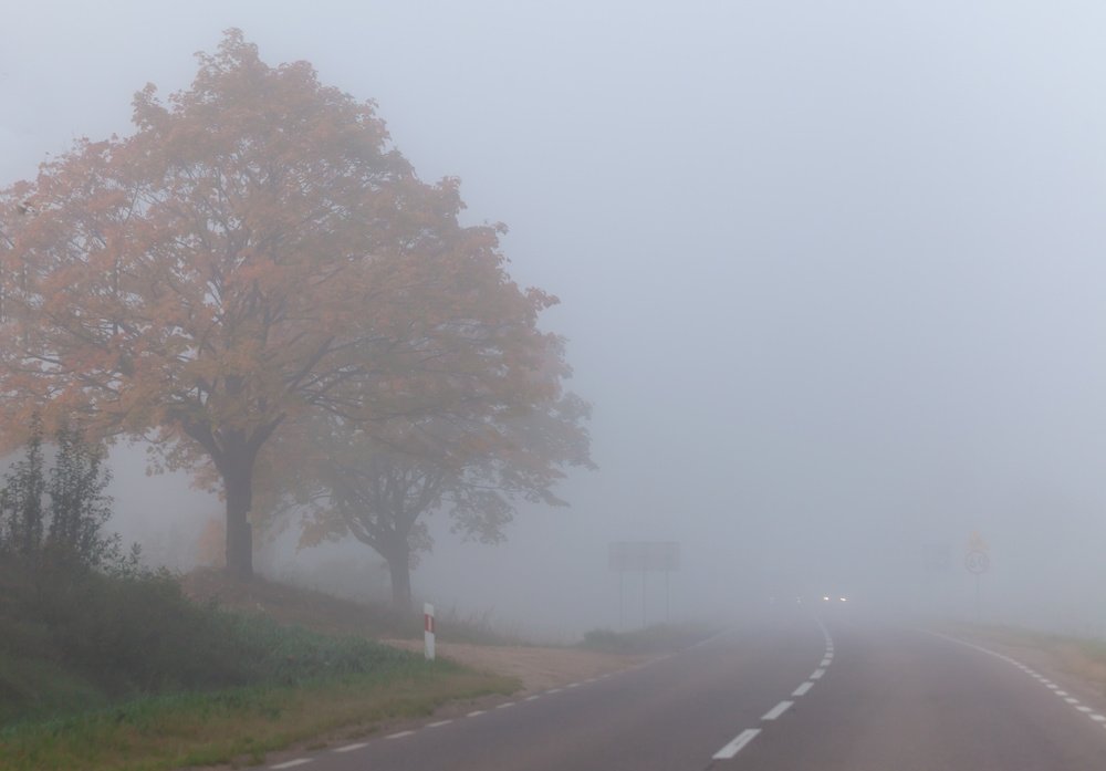 Фотография автора Людмила Прокофьева