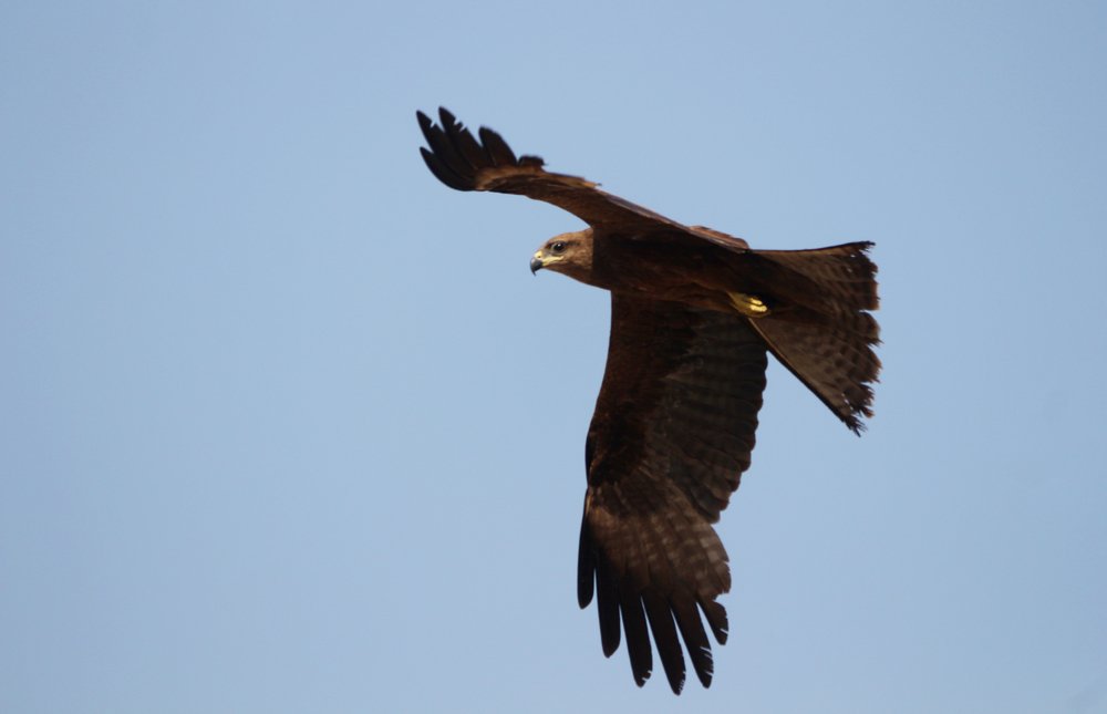 Photograph by Rijas Galleria