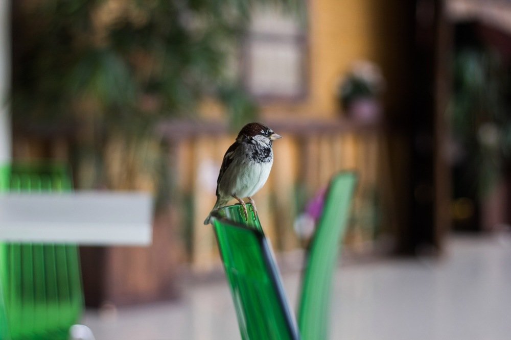 Photograph by Валяева Анастасия