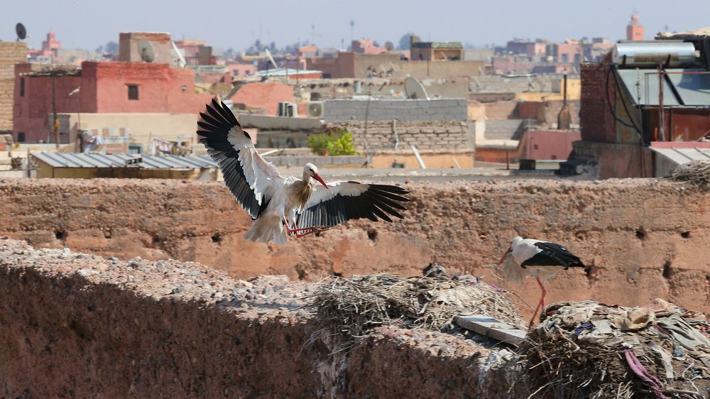 Photograph by Александр Волжинский