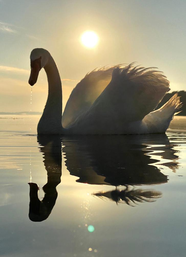 Photograph by Анатолий Андреев