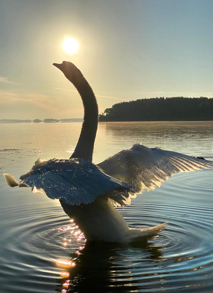 Photograph by Анатолий Андреев