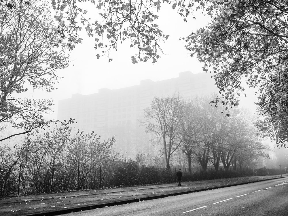 Photograph by DidierHg