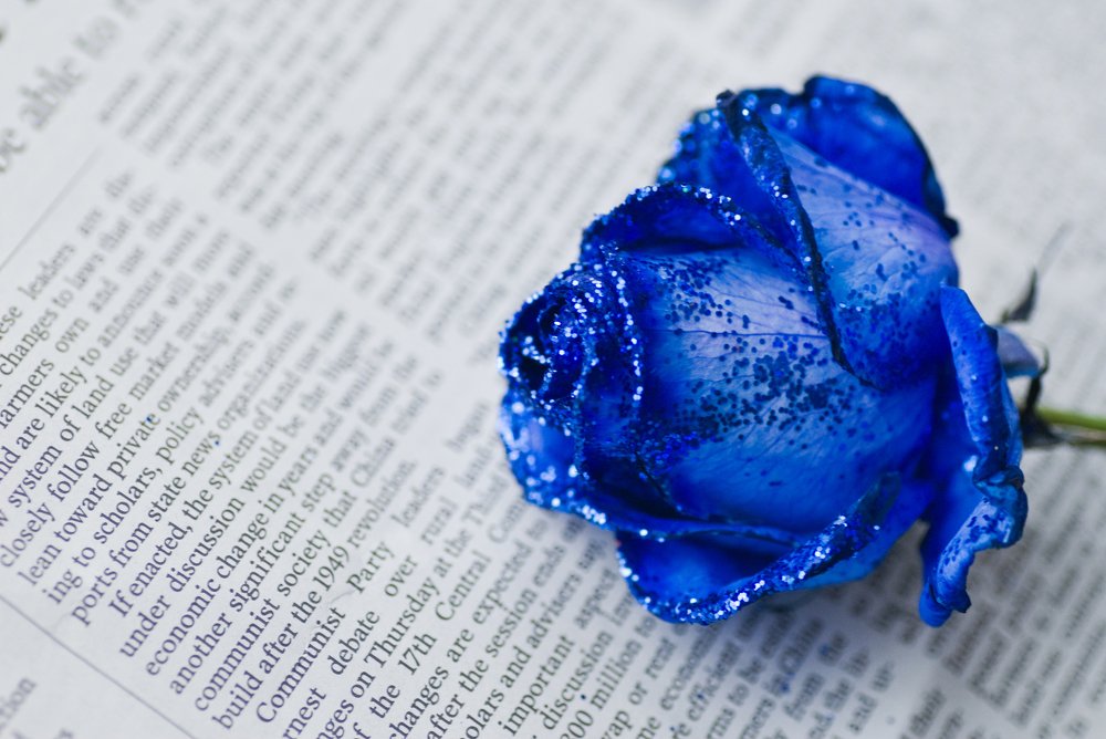 Photograph by mypure heart