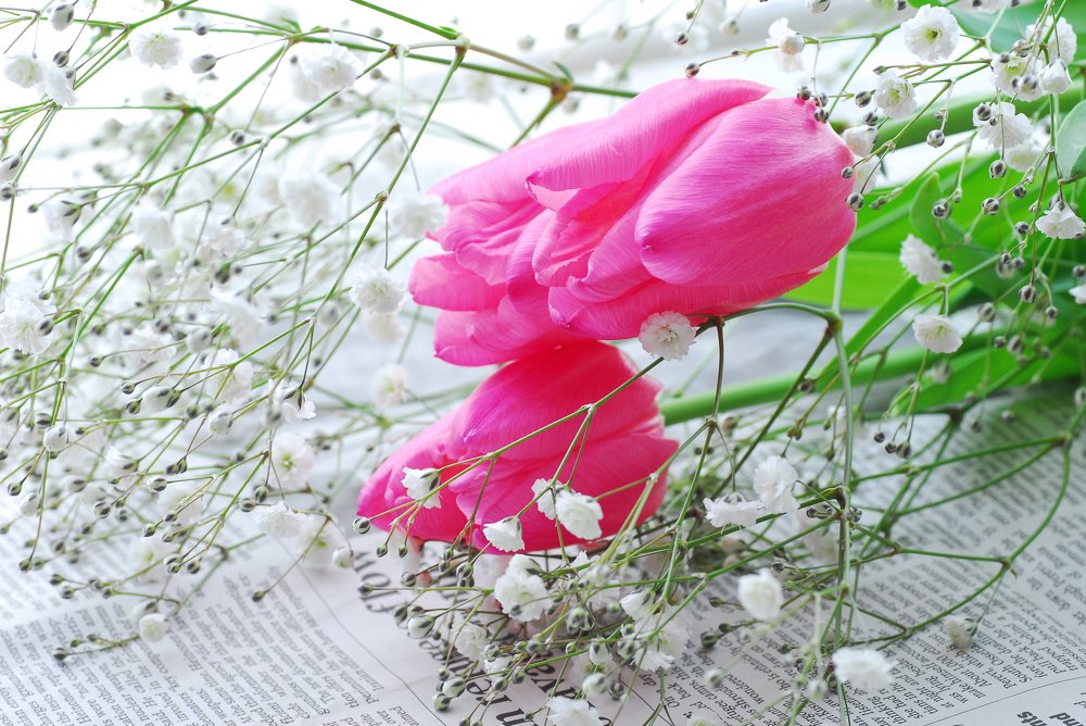 Photograph by mypure heart