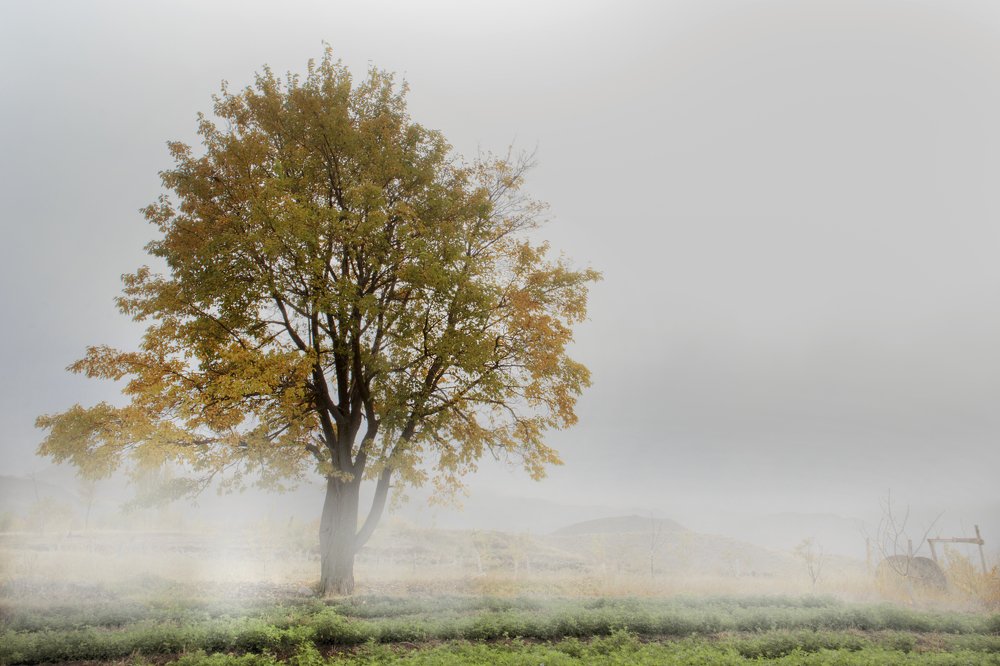 Photograph by abdolmoeed (hiwa) Maroufi