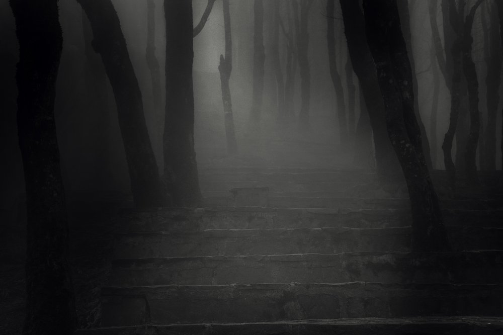 Photograph by abdolmoeed (hiwa) Maroufi