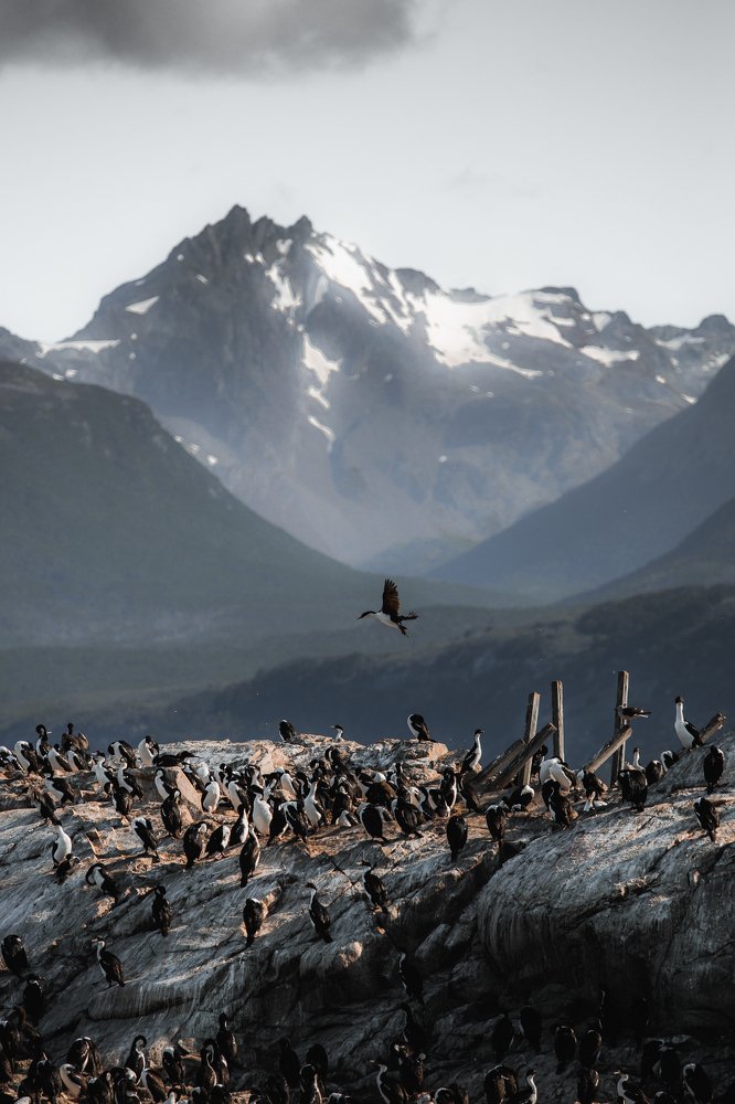 Photograph by Владислав Вебер