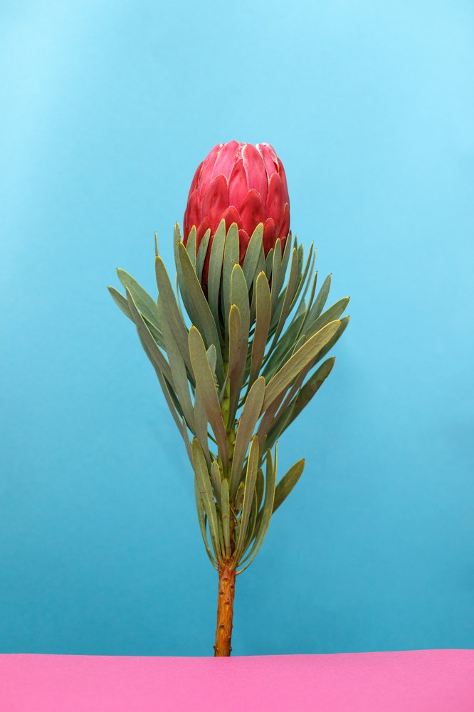 Photograph by Агарков Алексей