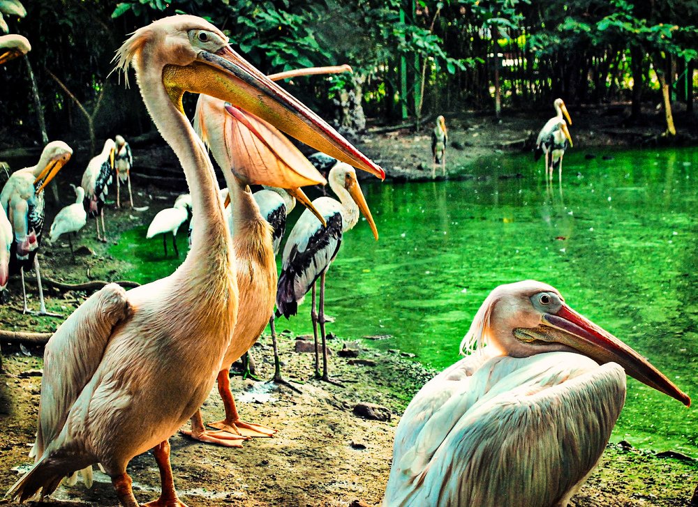 Photograph by Shubhodeep Roy