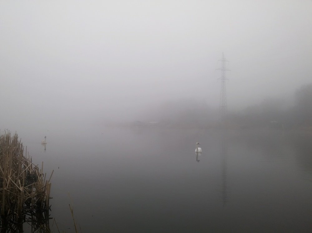 Photo #4843364