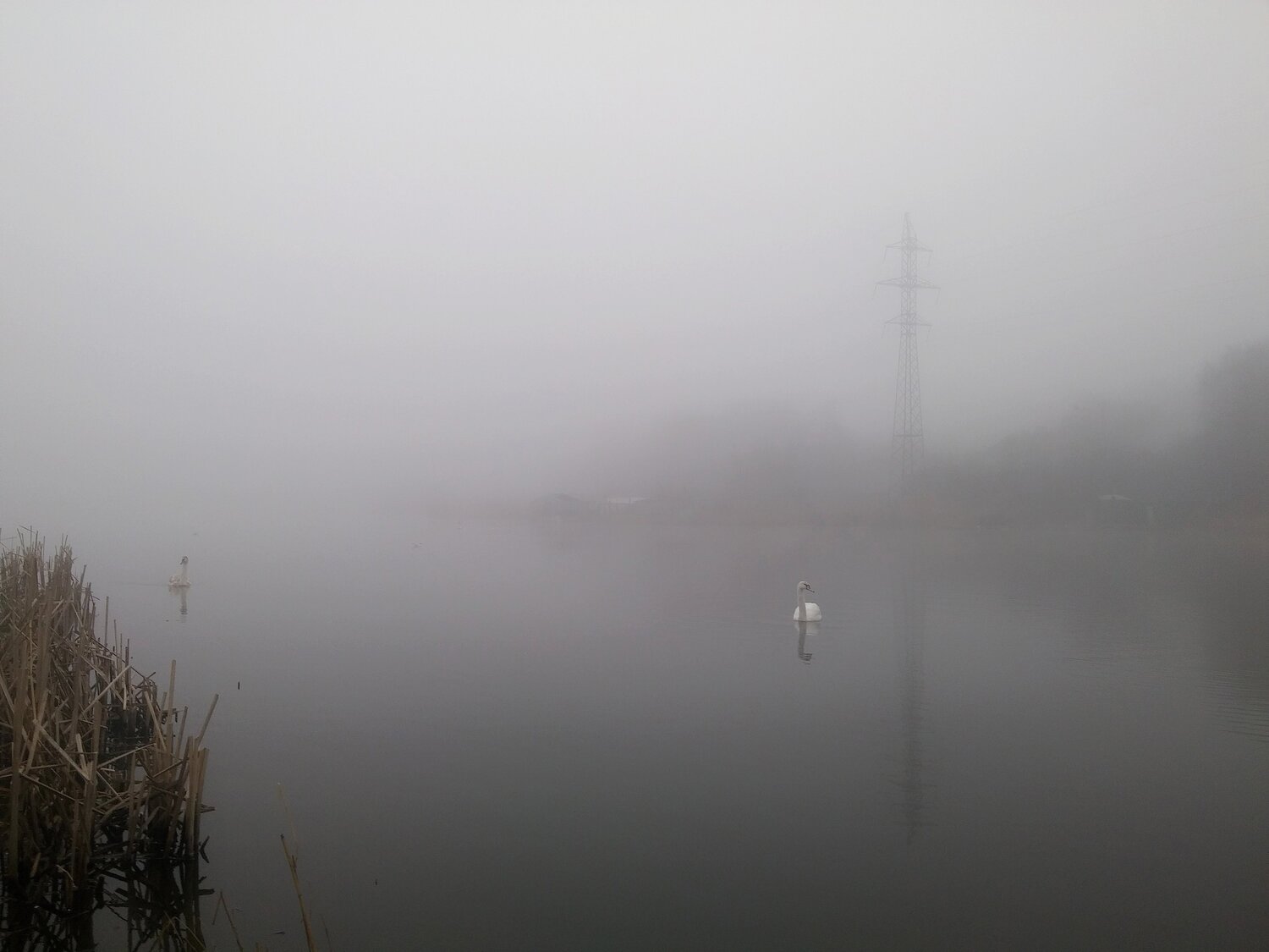 Photo #4843364