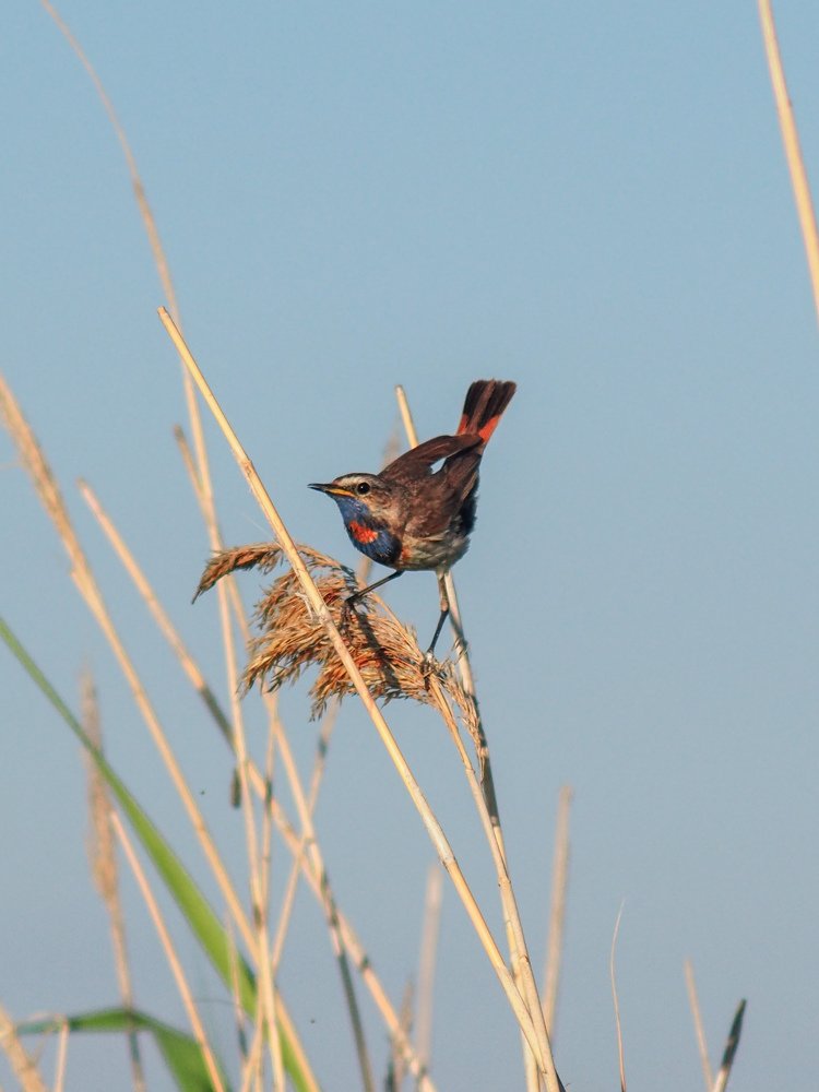 Photograph by Светлана Шибаршина