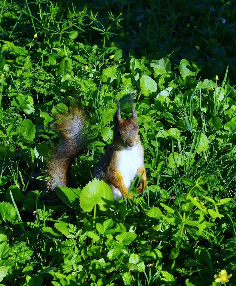 Photograph by Сергей Конищев