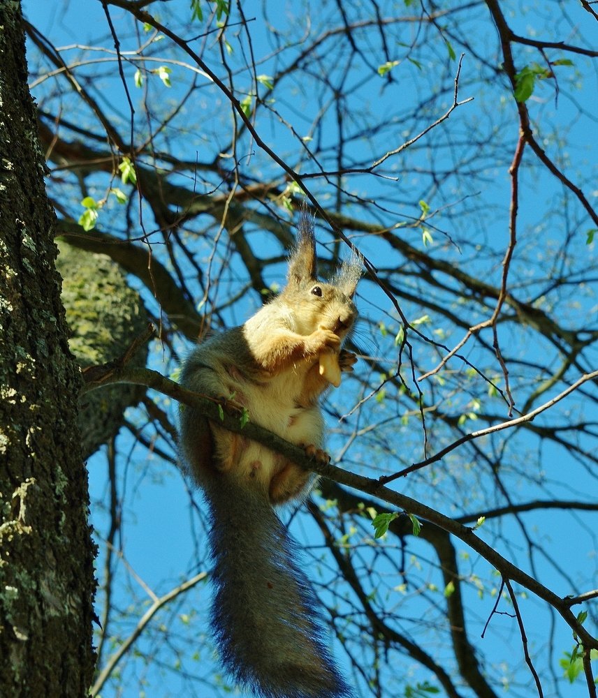 Photograph by Сергей Конищев
