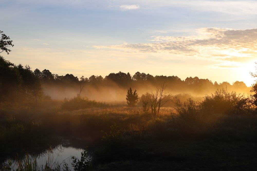 Photograph by Татьяна Мазок