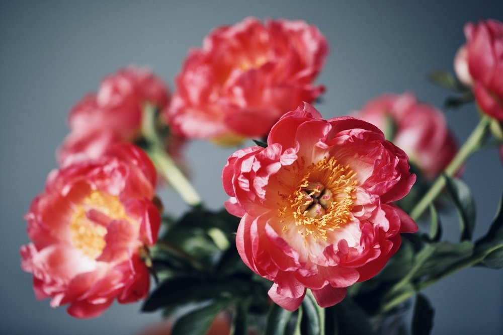 Photograph by Наталья Филькина