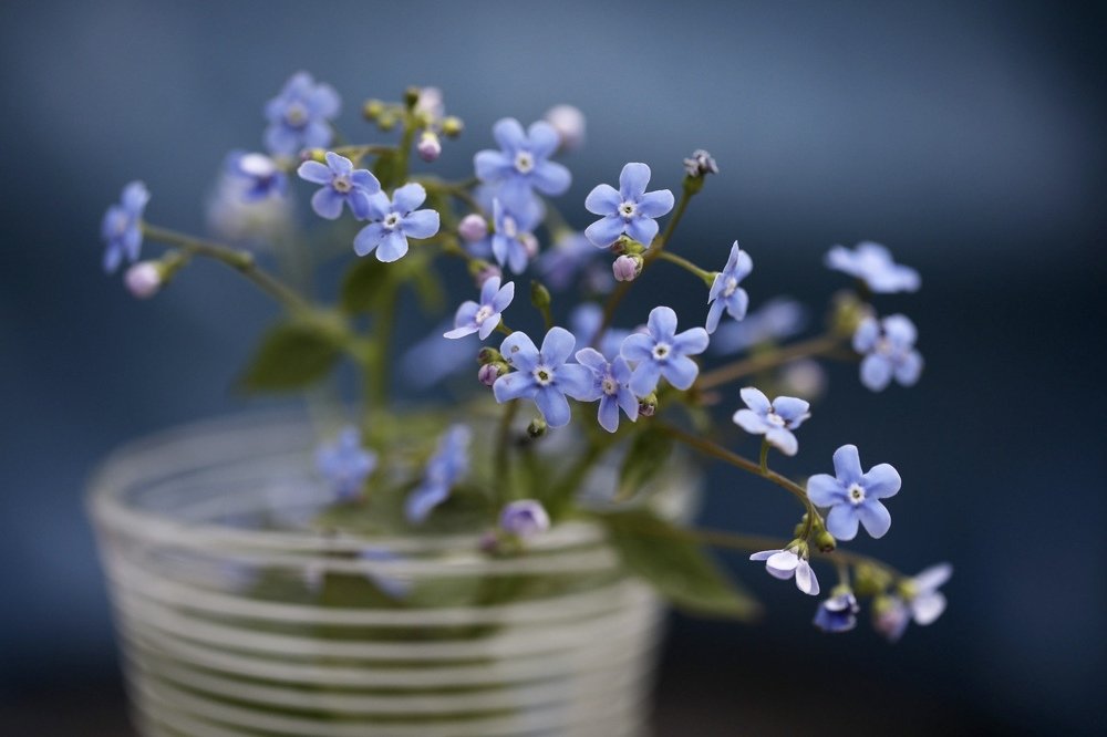 Photograph by Наталья Филькина