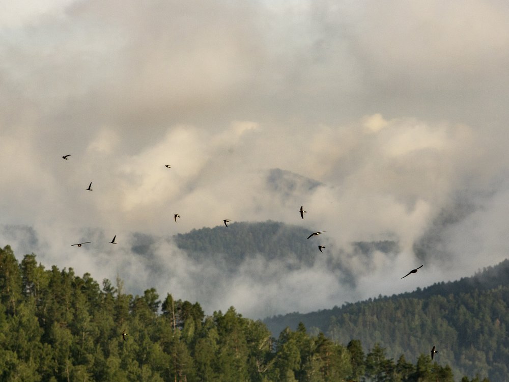 Photograph by Емельянов Саша