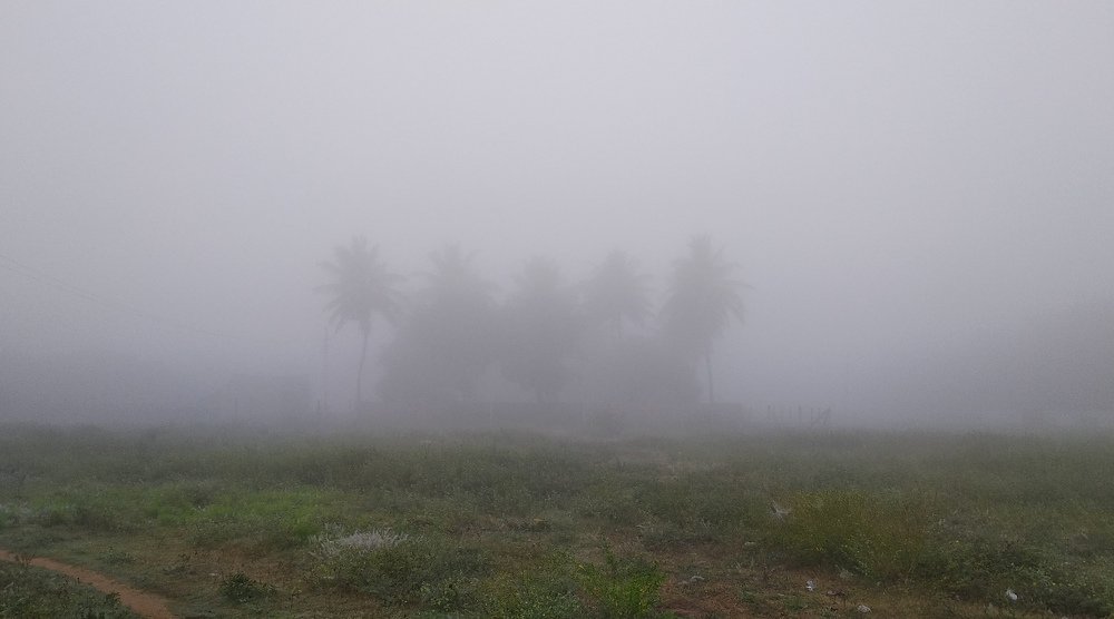 Photograph by Jeevanandham M