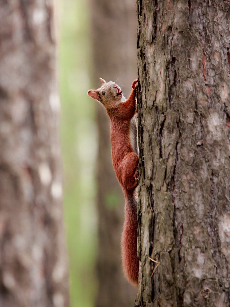 Photograph by Емельянов Саша