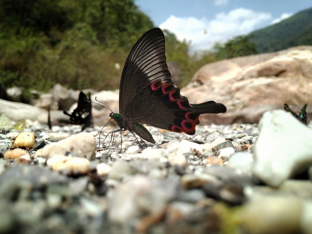 Photo #4843508