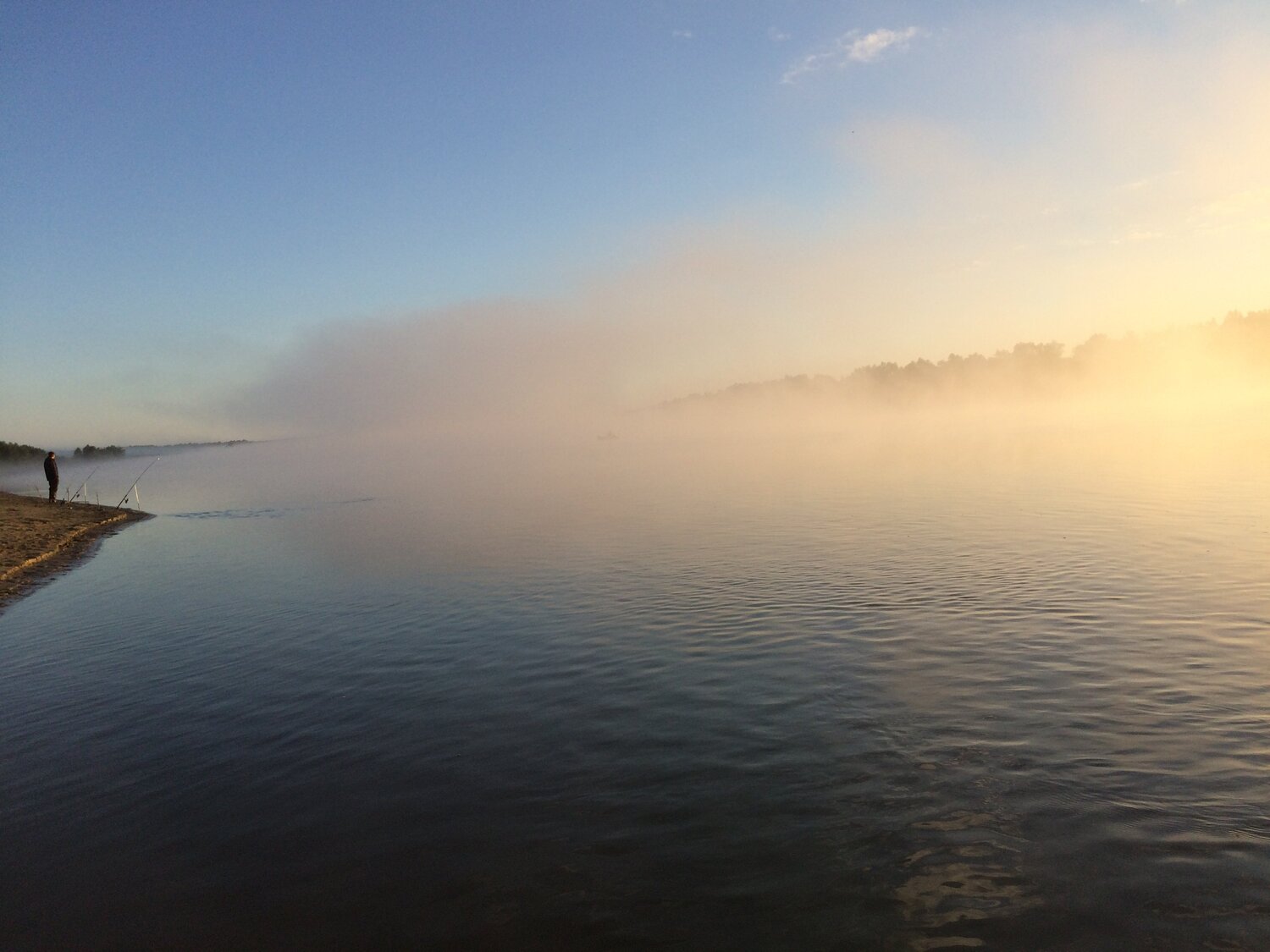 Photo #4843555