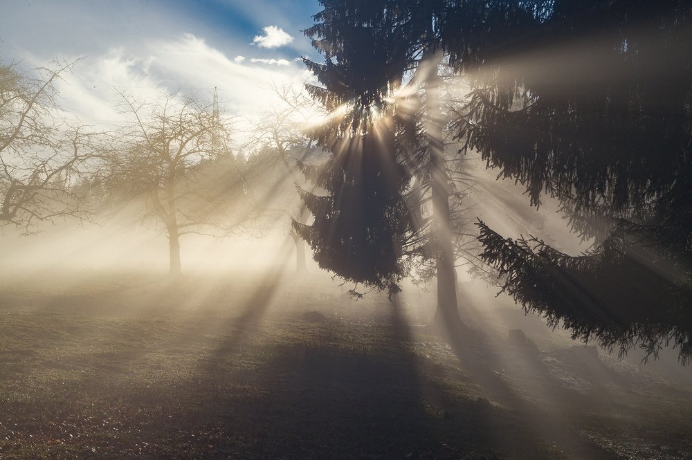 Photograph by Arijit Biswas