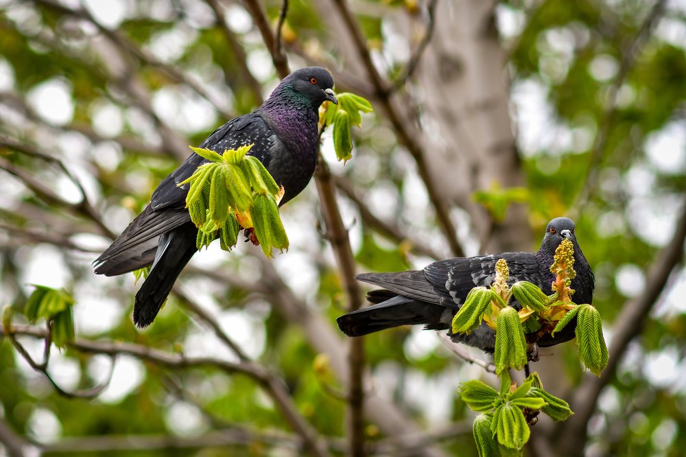 Photograph by Анастасия Донская