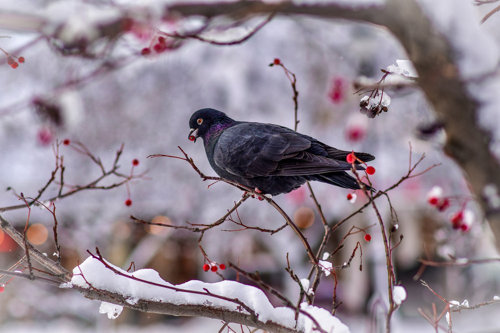 Photograph by Анастасия Донская