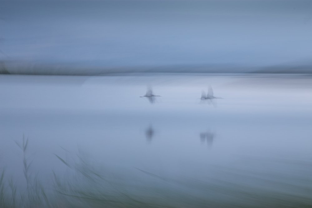 Photograph by Maxim Sayapin