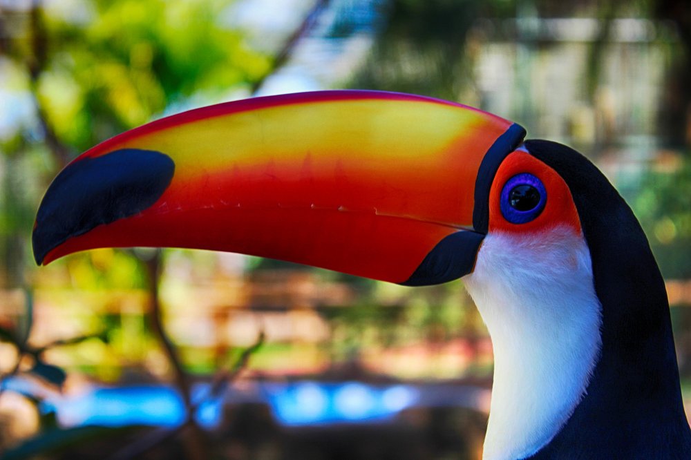 Photograph by Régis Santos