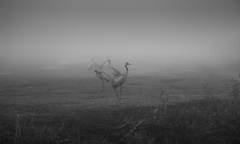 Photograph by Maxim Sayapin
